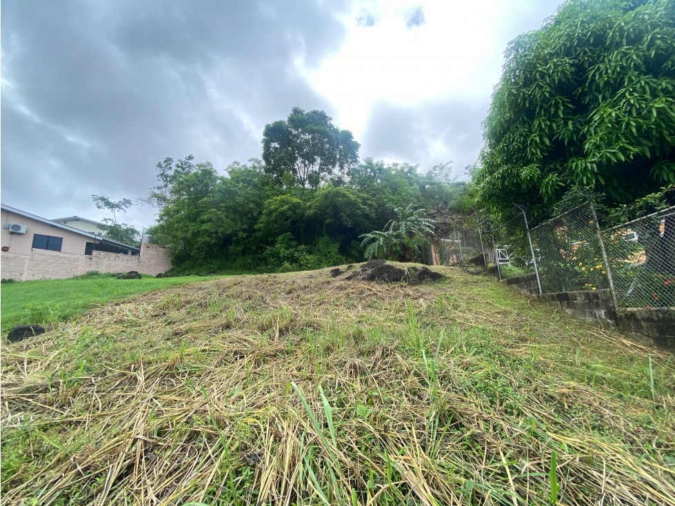 VENDO TERRENO EN ALTOS DE SANTA MARIA ALTOS DE PANAMA DE 281M — foto 6
