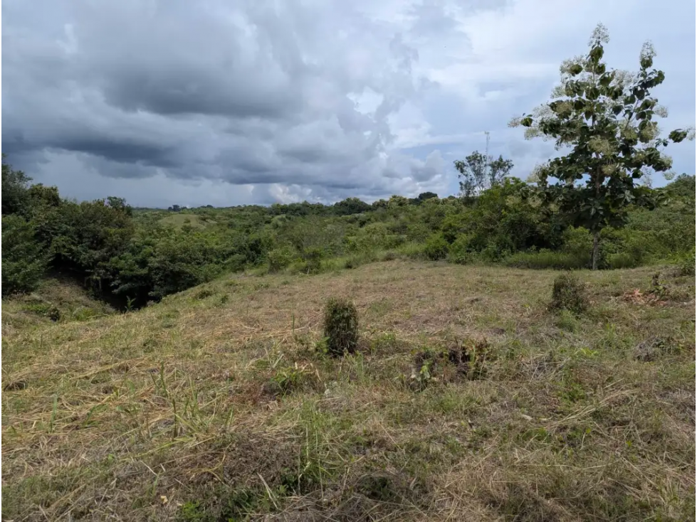 GANGA / RIO HATO / TERRENO / 3400 M2 / PUNTO ALTO / PLAYA - 5