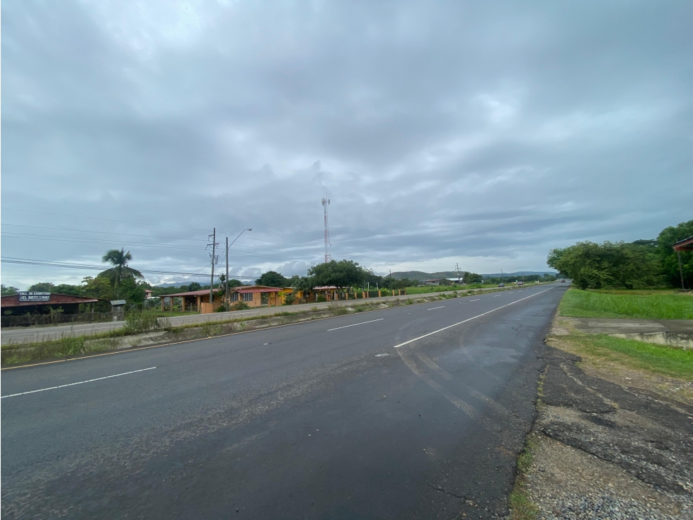 SE VENDE TERRENO PLANO 2146M EN PENONOME FRENTE A VIA INTERAMERICANA - 4