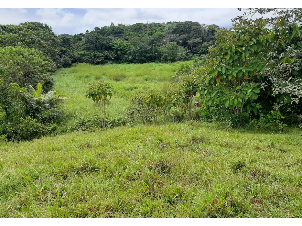 COLON / COSTA ARRIBA / NOMBRE DE DIOS / FINCA / 110 HECTAREAS - 2
