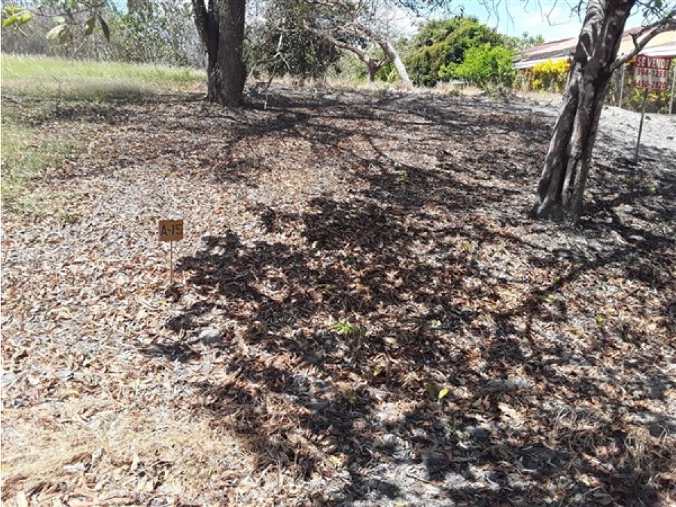 TERRENO / SAN CARLOS / PLAYA CORONA / 1112 M / CALLE ASFALTADA — foto 4