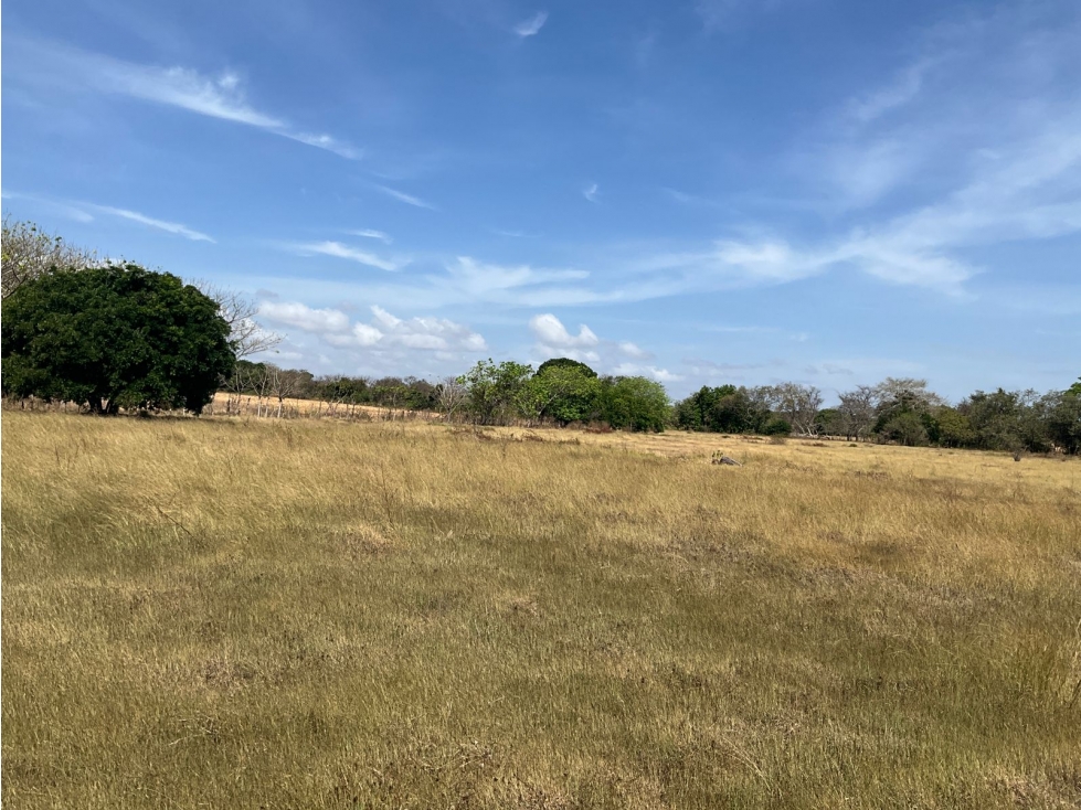 LAS TABLAS / FINCA / 3 HECTAREAS / POZO DE AGUA - 3