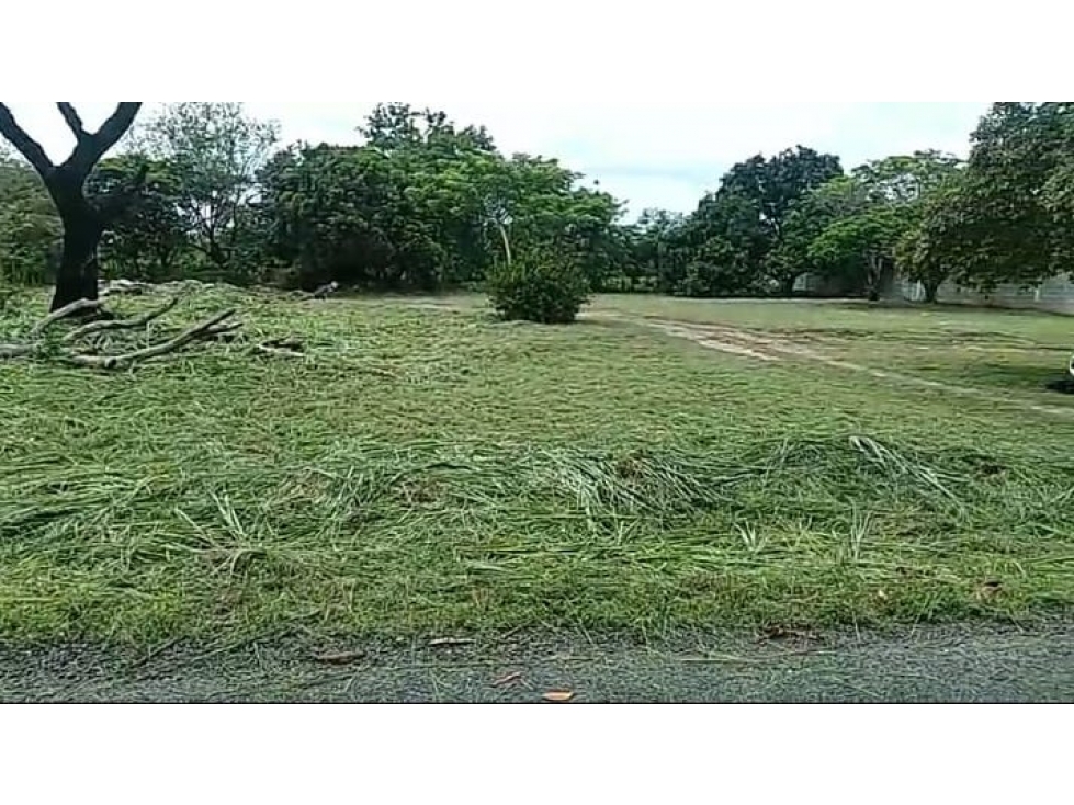 TERRENO / CHAME / GORGONA / 2000M / PLANO /JC — foto 5