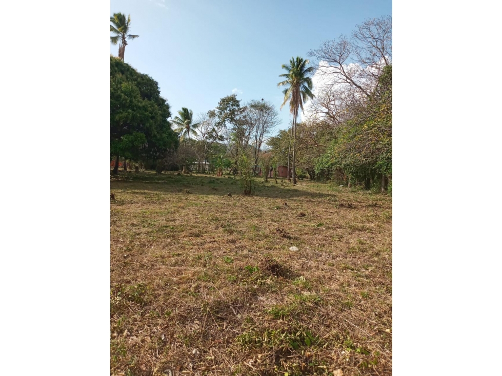CHAME / CABUYA / 12857M / FINCA CERCA DE RIO / SOBRE LA VIA / AG — foto 4