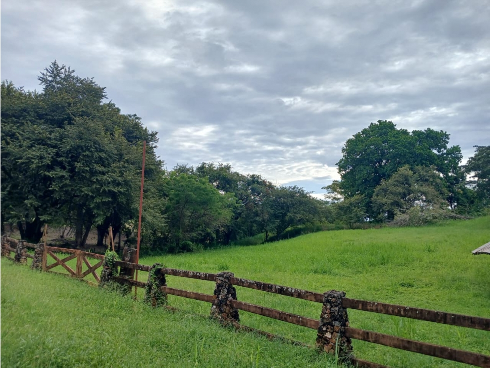 LAS LAGARTIJAS / SAN CARLOS / 3000 M / CERCA DE RIO / AG — foto 4