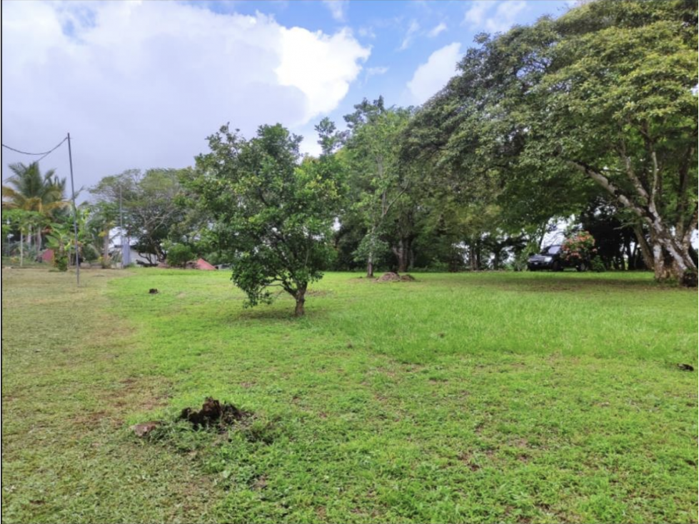 ARRAIJAN / NUEVO EMPERADOR / 2494M / TERRENO PLANO / SOBRE VIA - 5