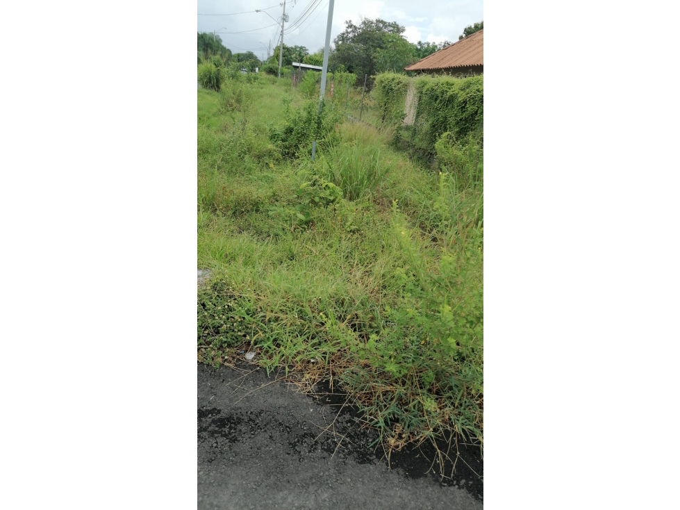 LAS LAJAS / CHAME / 1040 M / TERRENO PLANO / BOHIO / CERCA DE PLAYA AG — foto 6