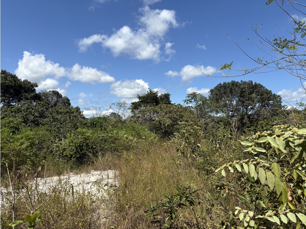 SAN CARLOS / EL NANCE / 6500 M / COLINDA CON RIO / CERCA DE PLAYA / AG