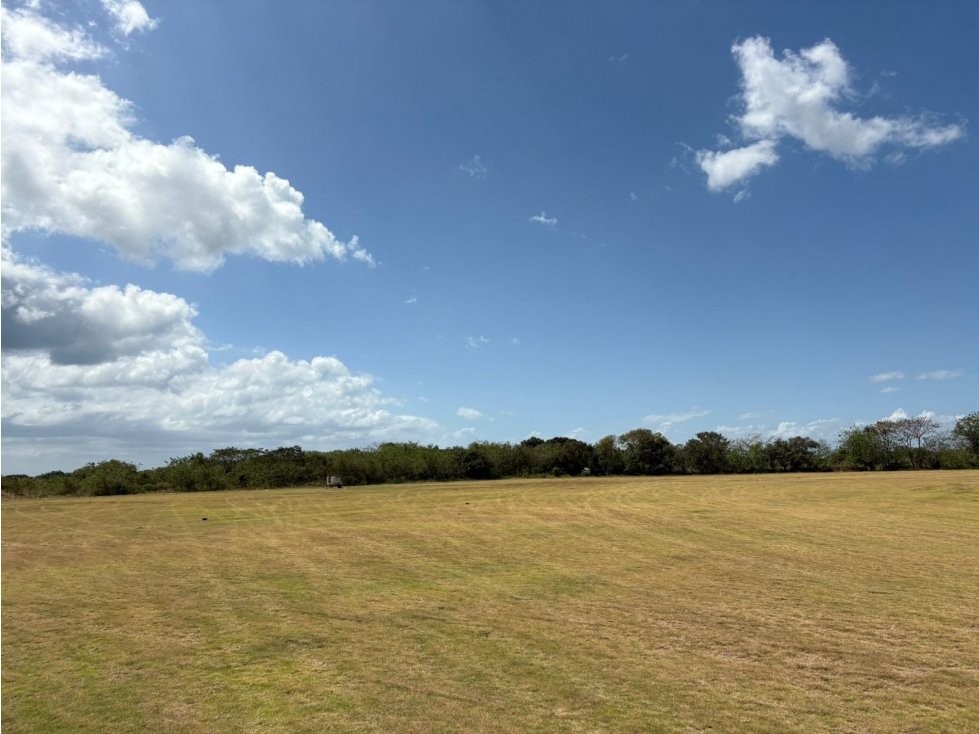 COCLE / RIO HATO / 110 HECTAREAS / SOBRE LA VIA / USO COMERCIAL / AG - 6