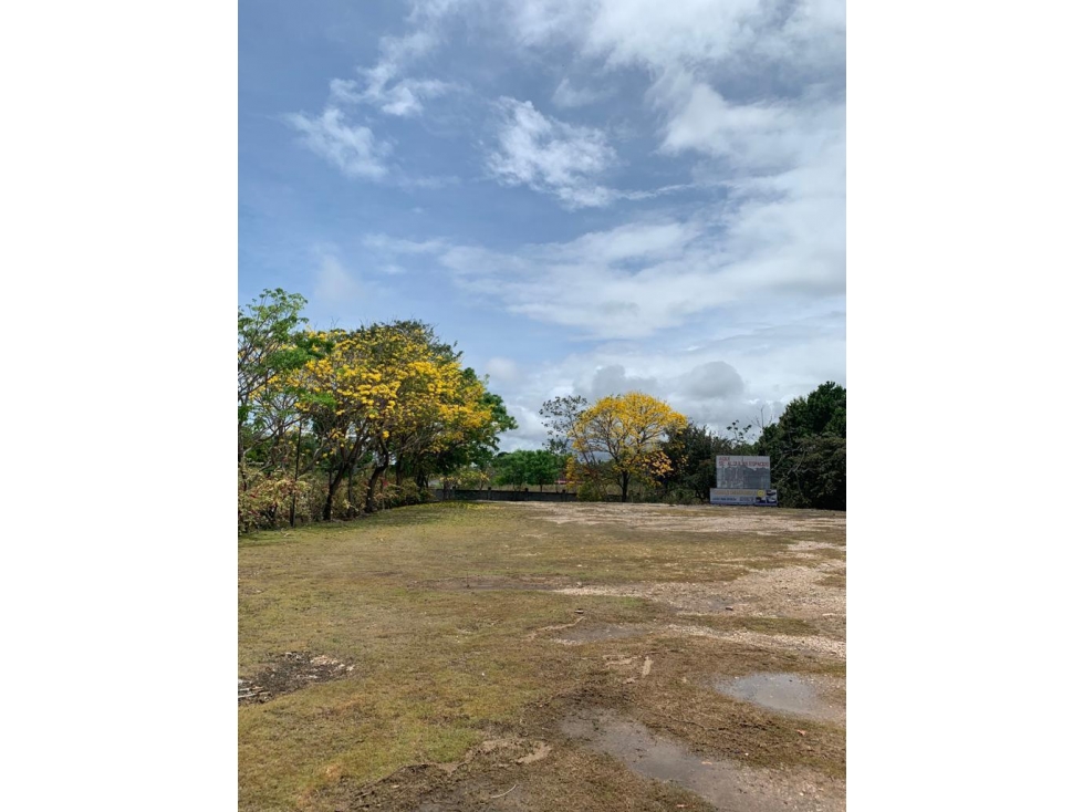 COCLE / SANTA CLARA / 32000M / FRENTE A PANAMERICANA / COMERCIAL / AG - 5