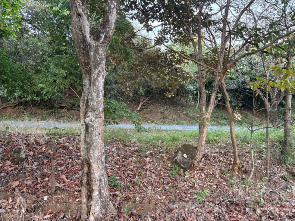 SAN CARLOS / LAS PEÑITAS / 1600M / SOBRE LA VIA / RESIDENCIAL / AG — foto 6