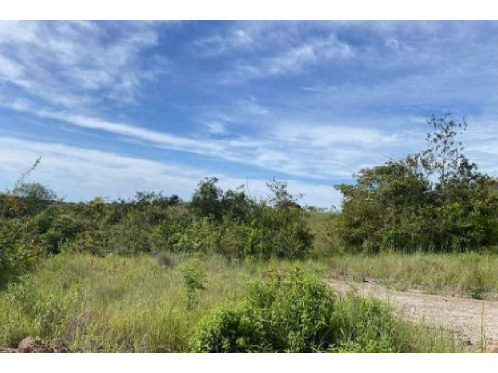 COCLE / LAS GUIAS / 40 HECTAREAS / USO COMERCIAL / SOBRE LA VIA / AG - 5