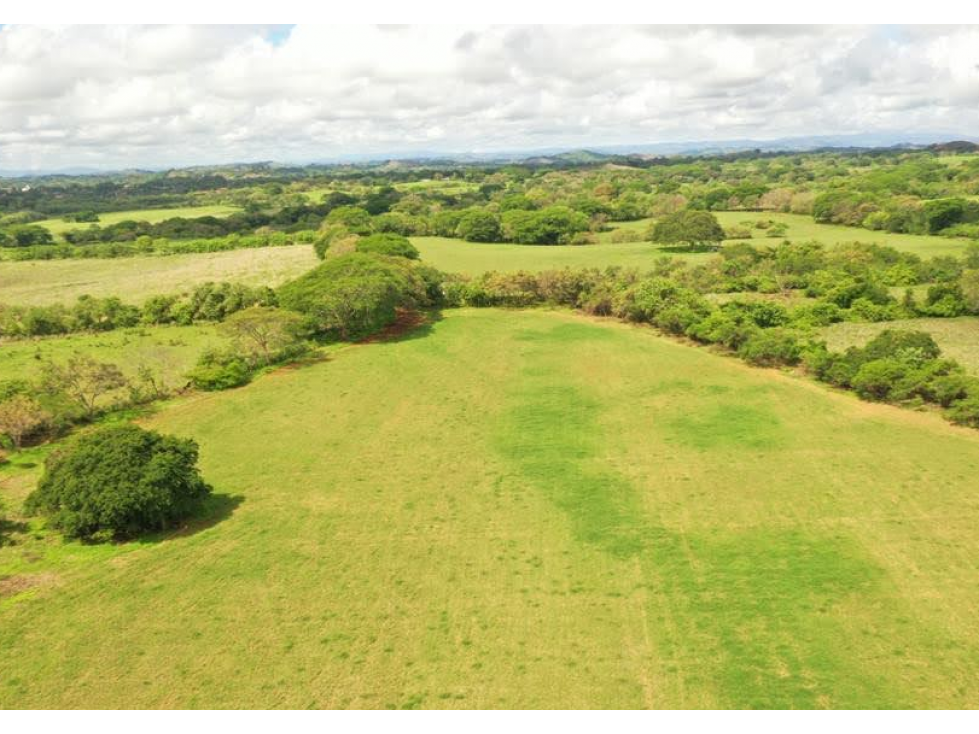 SE VENDE FINCA TITULADA IDEAL PARA GANADERÍA EN PARITA DE HERRERA - 1