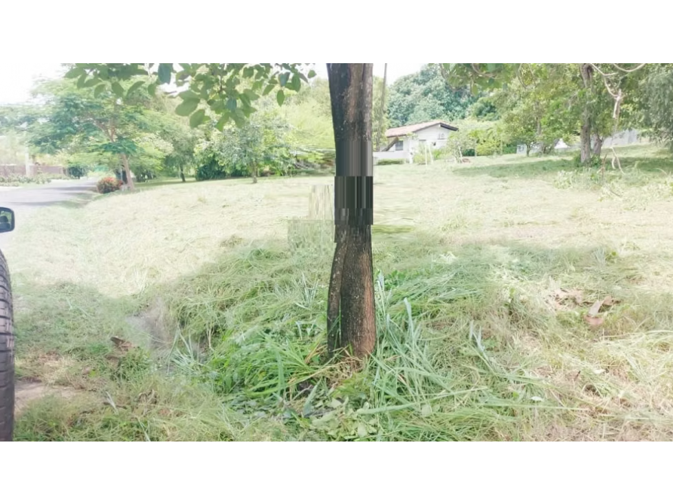 TERRENO / CORONADO / 1,198 M2 / LOTE PLANO / DENTRO DEL CLUB — foto 6