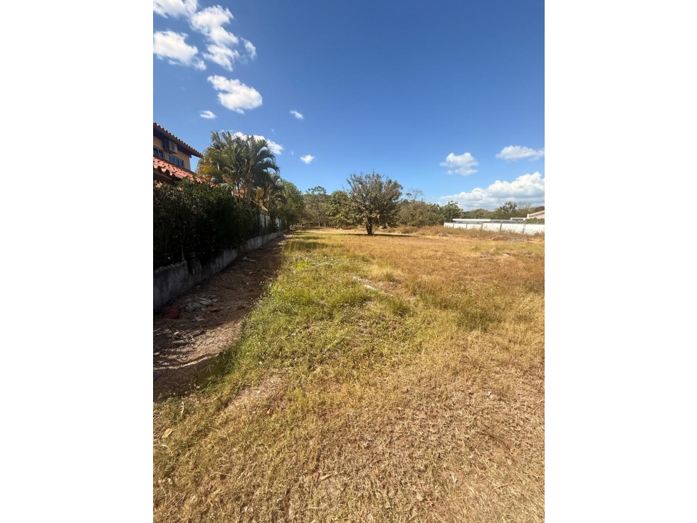 TERRENO / CHAME / 1,164 M2 / CORONADO & COUNTRY CLUB / PLANO — foto 6