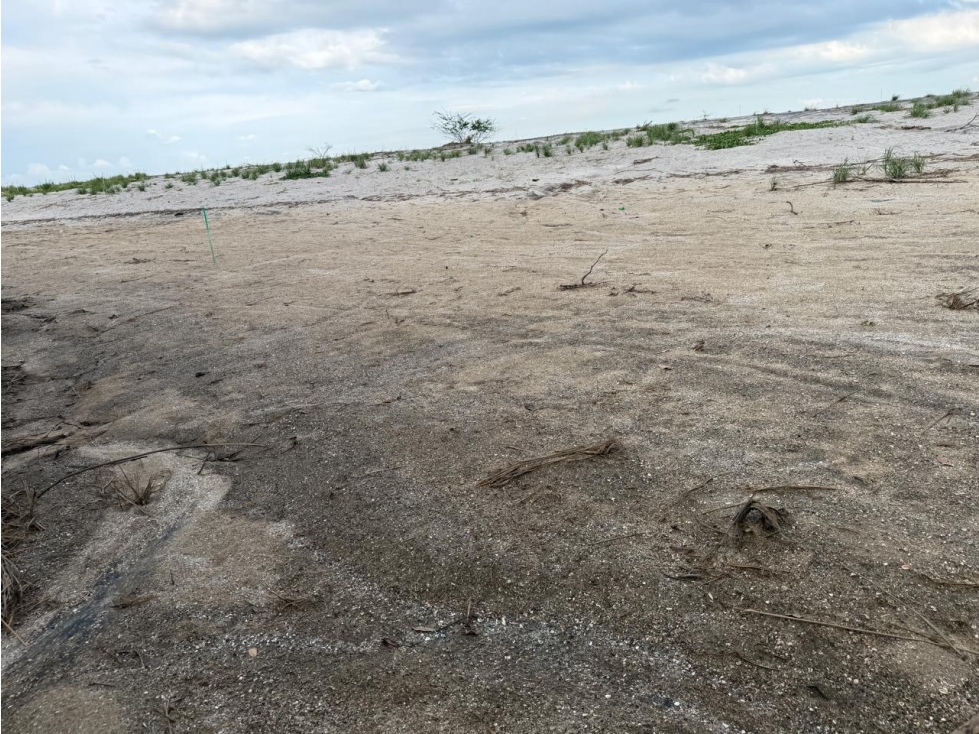 TERRENO / GORGONA / PLAYA MALIBÚ / 1200 M / FRENTE AL MAR — foto 6