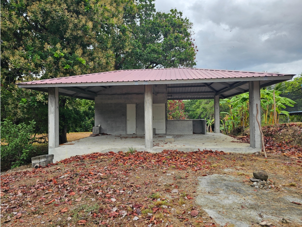 SE VENDE TERRENO EN SAN CARLOS 771 M2 CON ARBOLES FRUTALES — foto 6