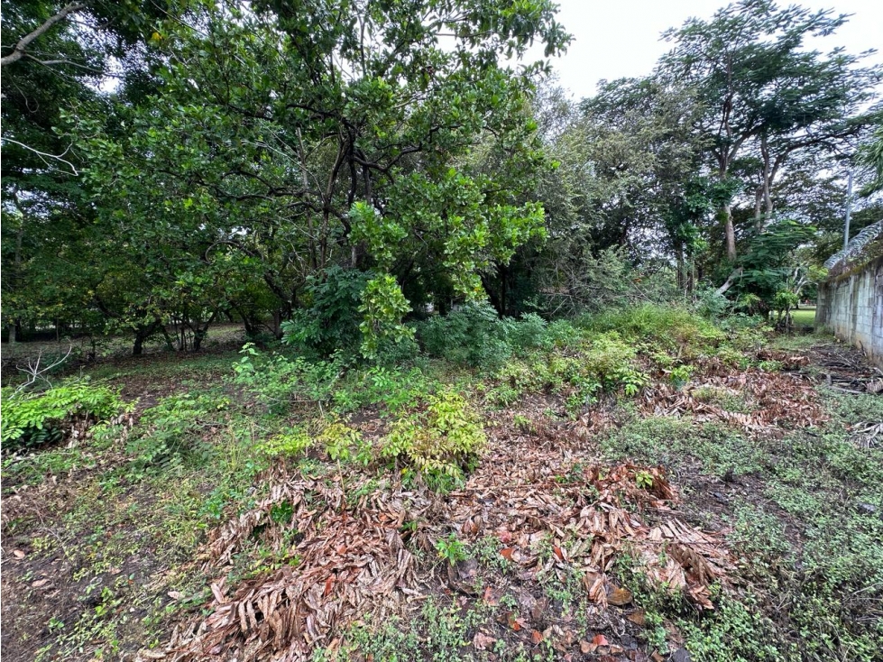 SE VENDE TERRENO EN CORONADO 995 M2 PLANO CERCA DE LA PLAYA — foto 5