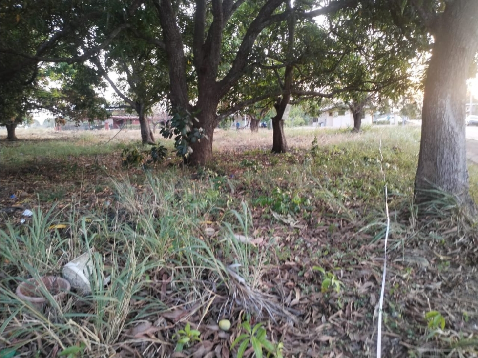 TERRENO / COCLE / AGUADULCE / 2400 M2 / PLANO / VIA ASFALTADA - 5