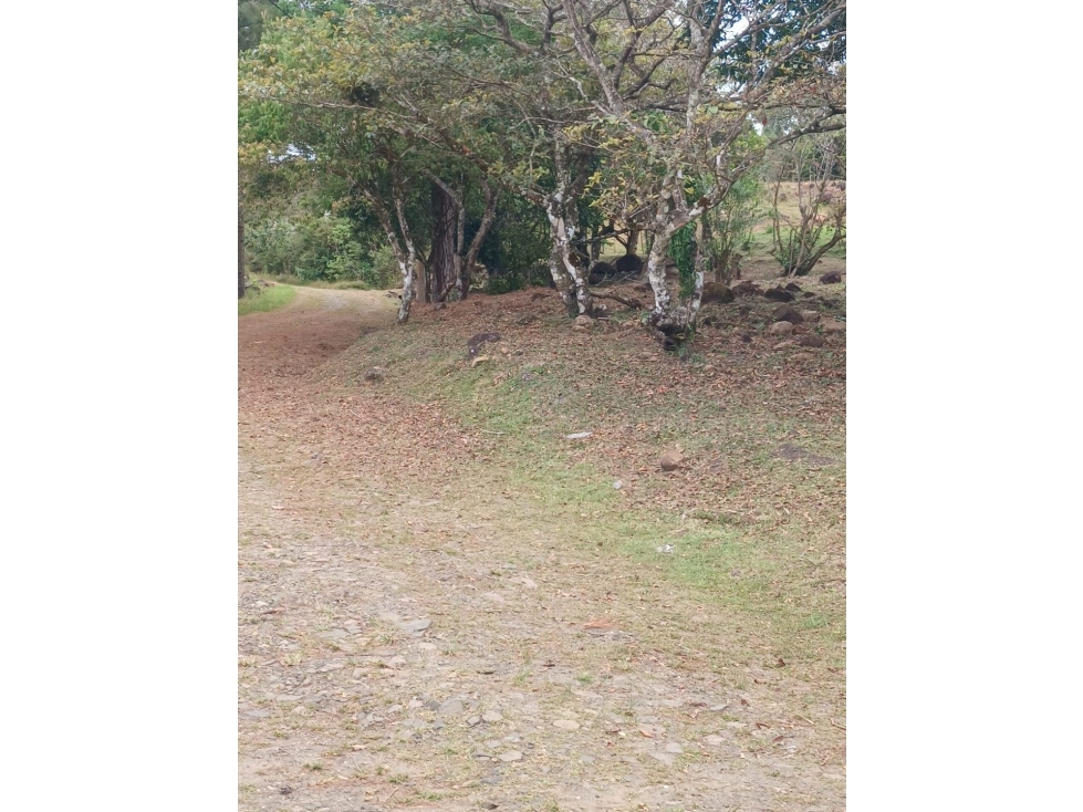 TERRENO / CHAME / CHICA / 2165 M2 / VIA ASFALTADA / CLIMAS FRESCOS — foto 5