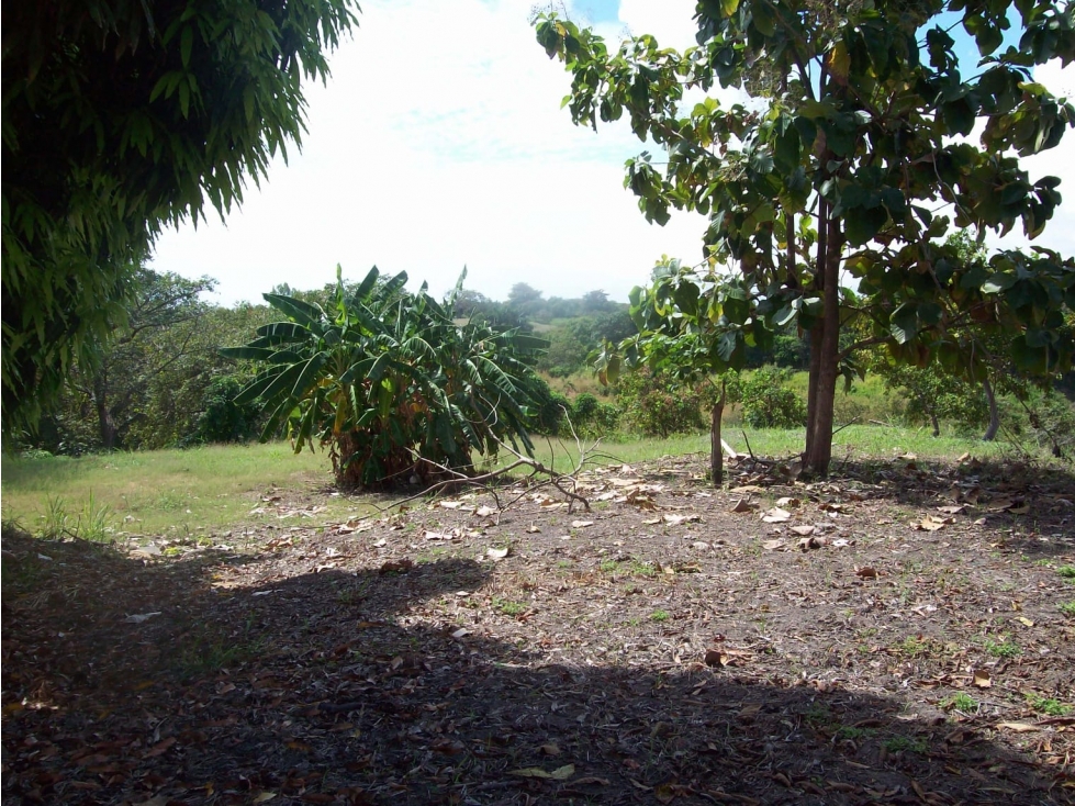 SE VENDE TERRENO EN CORONADO 1543 M2 CON VIA ASFALTADA — foto 5