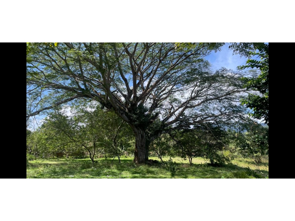 CHAME / SORA / 13.9 HECTAREAS / FINCA / VIA ASFALTADA / CLIMAS FRESCOS — foto 6