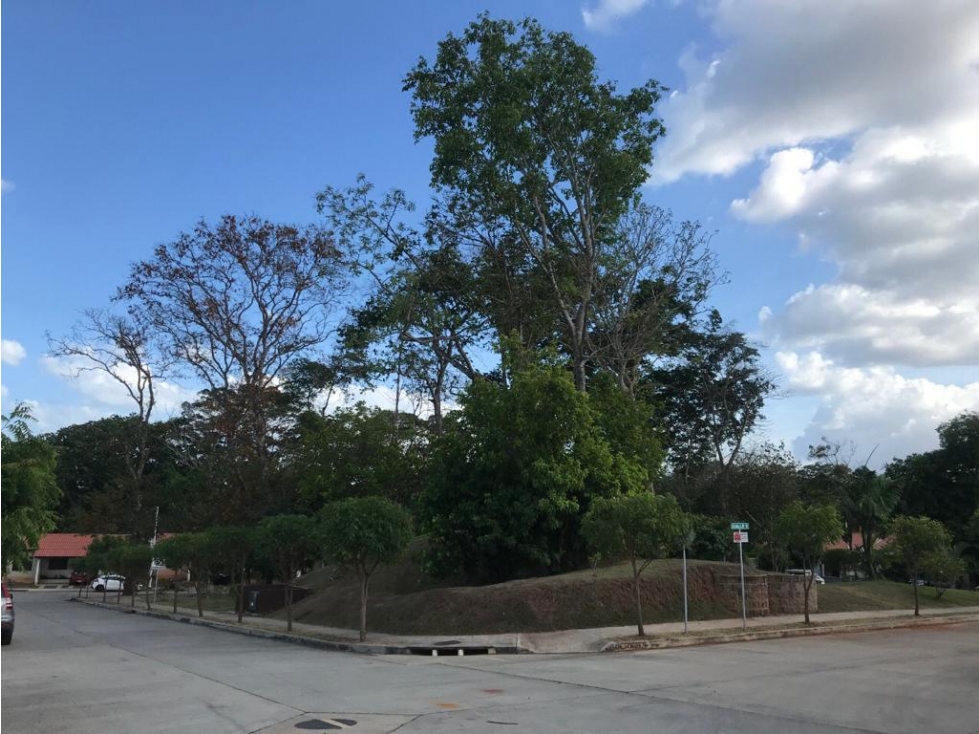 SE VENDE CASA 2 NIVELES EN LAS ARBOLEDAS LOS PINOS 180 M2 CON TERRAZA — foto 6