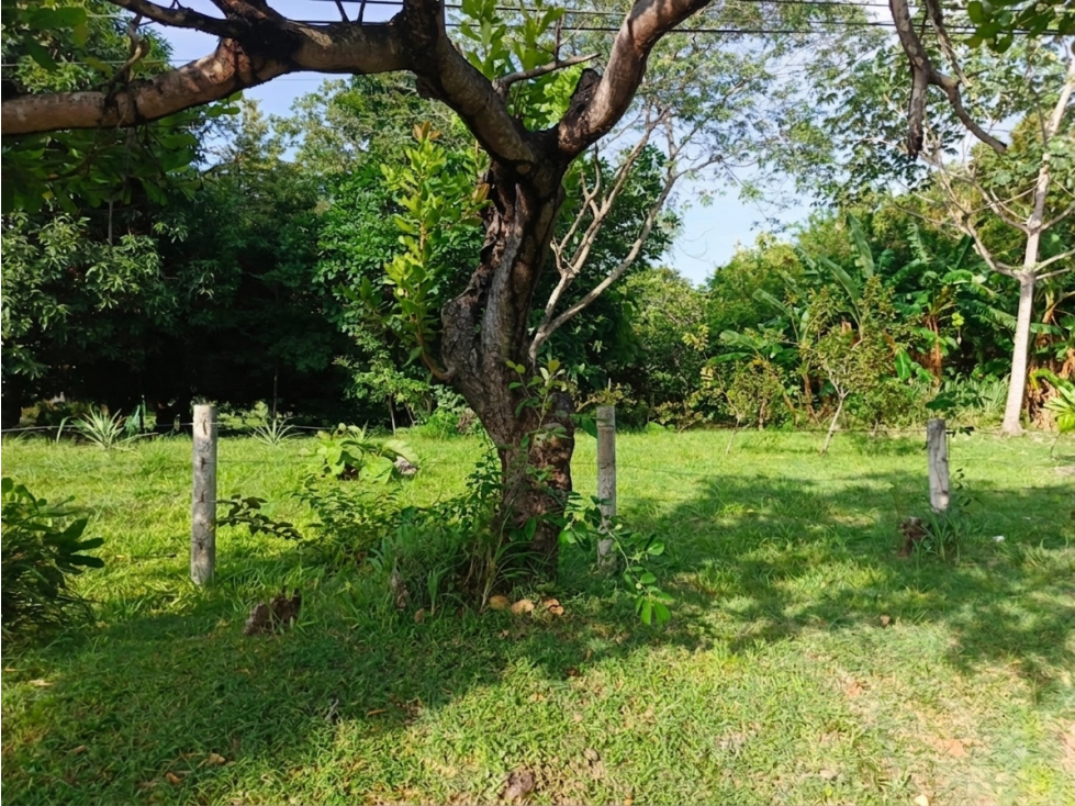 SE VENDE TERRENO EN CHAME LAS LAJAS 900 M2 SOBRE VIA ASFALTADA