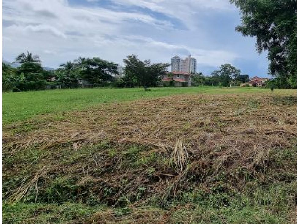 CORONADO / BAHIA SERENA / 1200 M2 / TERRENO / A MINUTOS DE LA PLAYA — foto 6