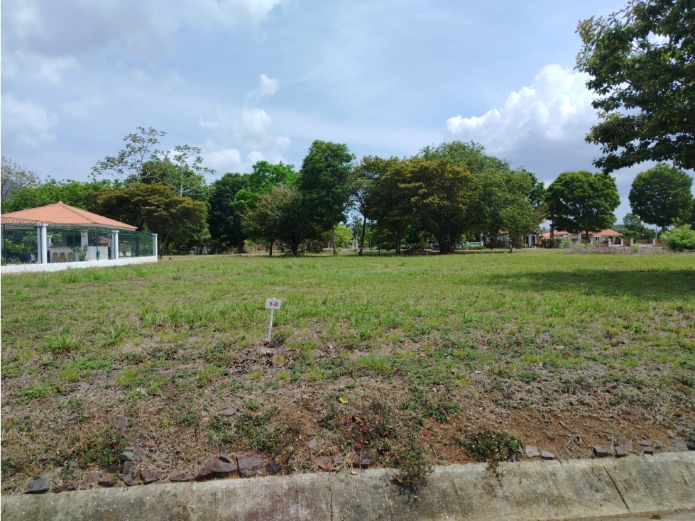 CHAME / LA COLONIA / 1000 M2 / TERRENO PLANO / ZONAS VERDES / PISCINA