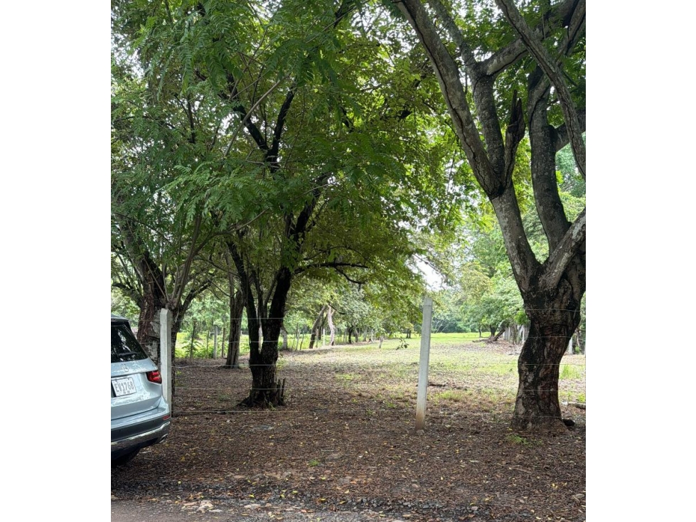 CHAME / BEJUCO / 4.5 HECTAREAS / TERRENO AMPLIO / ZONAS VERDES — foto 2