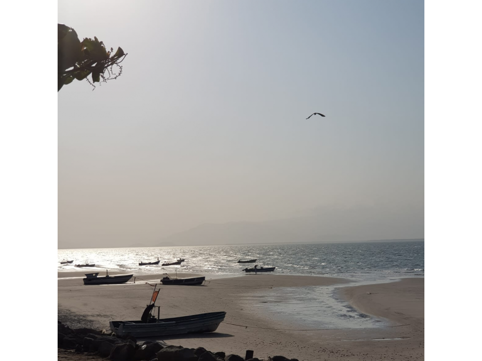 SE VENDE TERRENO EN PUNTA CHAME 1100 M2 FRENTE AL MAR CON ZONAS VERDES - 6