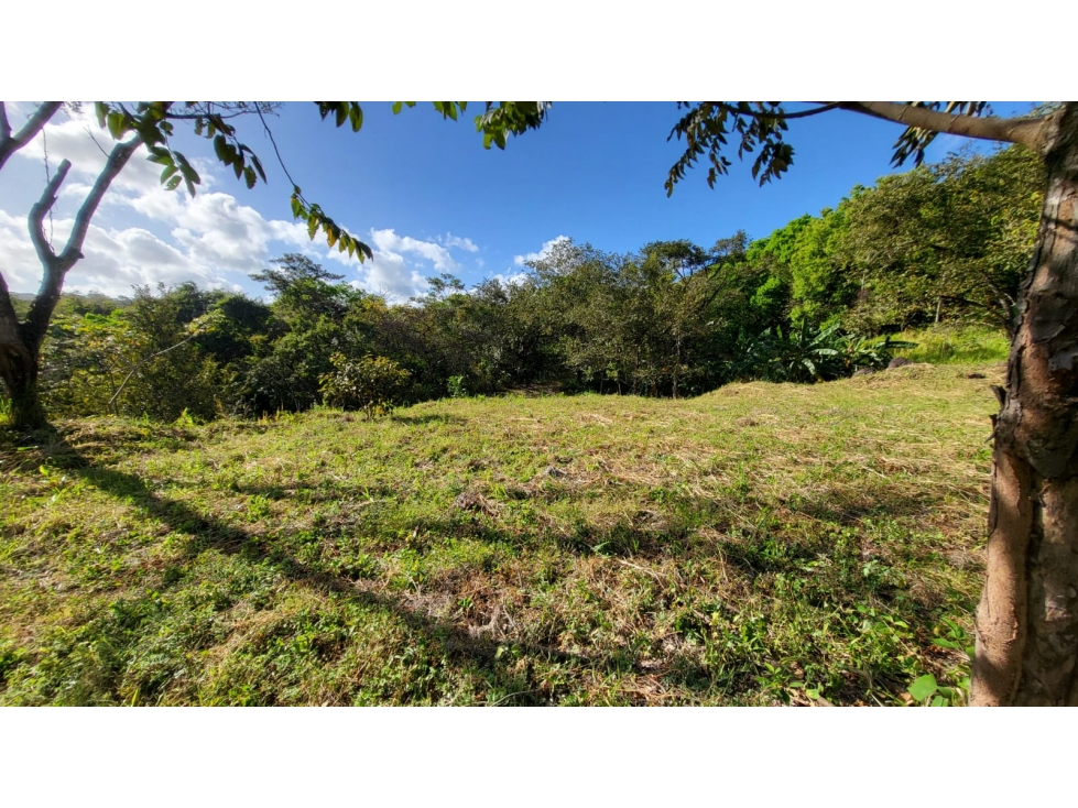 SE VENDEN 2 LOTES 4754 M2 EN SAN CARLOS VIA A LA LAGUNA TITULADOS - 6