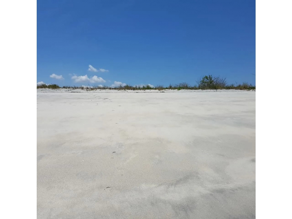 PUNTA CHAME / 9,381 M2 / TERRENO / FRENTE AL MAR / VISTAS A LA PLAYA — foto 6