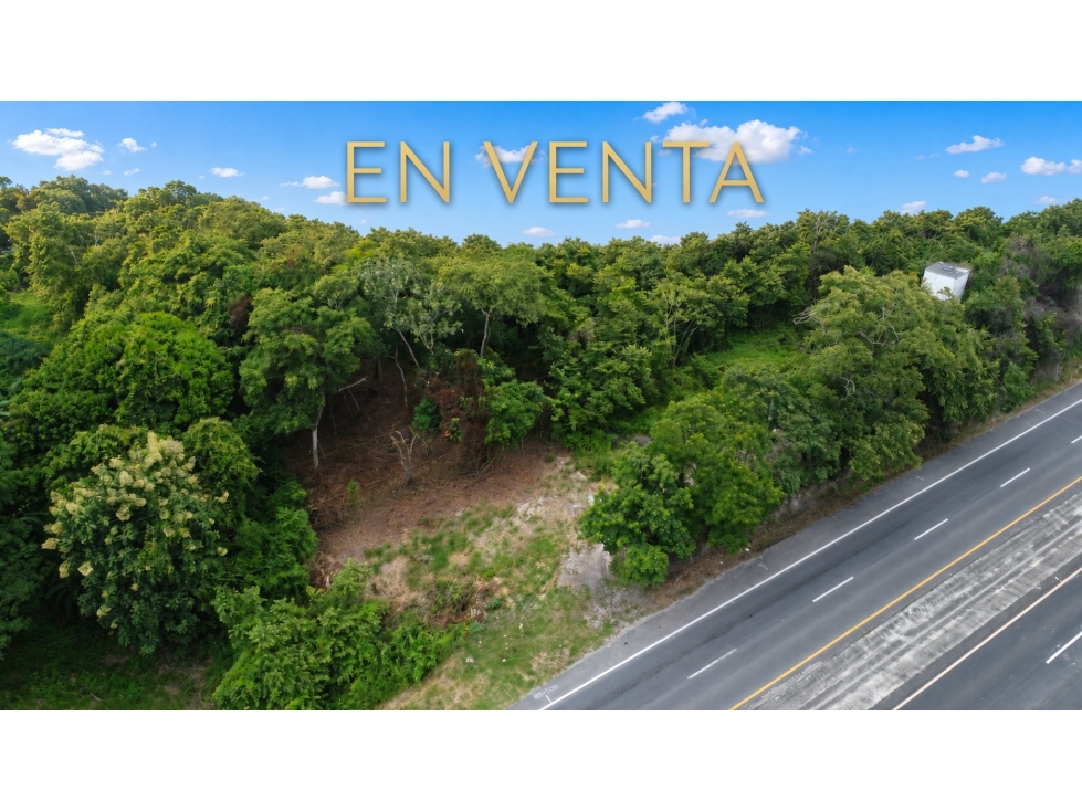 SAN CARLOS / LAS UVAS / 600 M2 / TERRENO PLANO / SOBRE VIA PRINCIPAL - 3