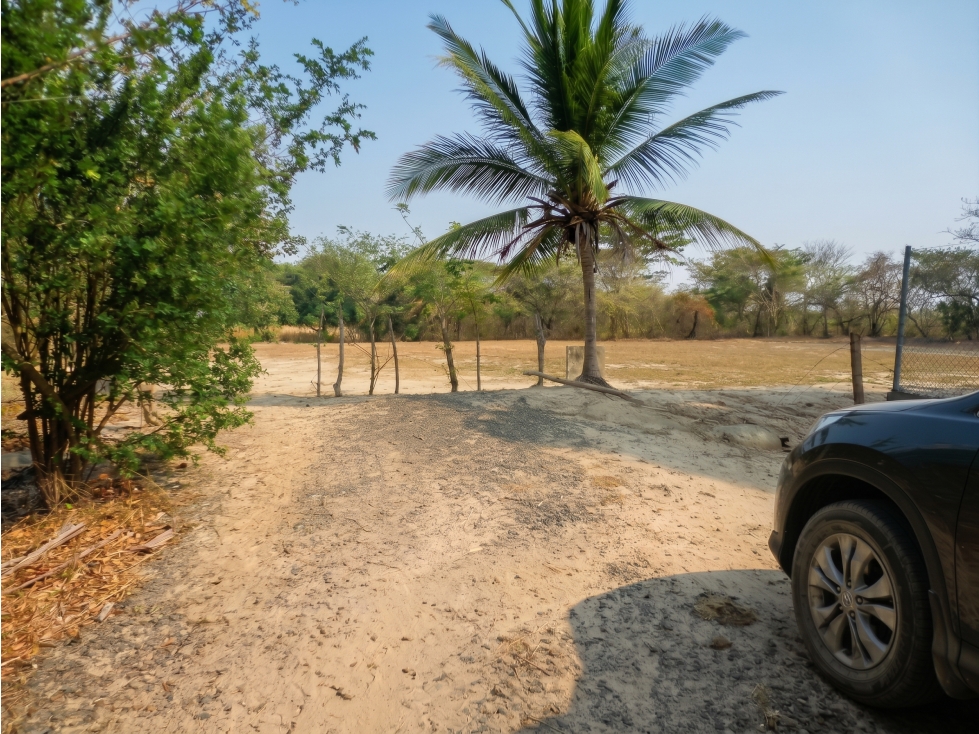 SE VENDE TERRENO COCLÉ EL CHIRÚ PLAYA 4400M SEGUNDA LINEA DEL MAR - 6