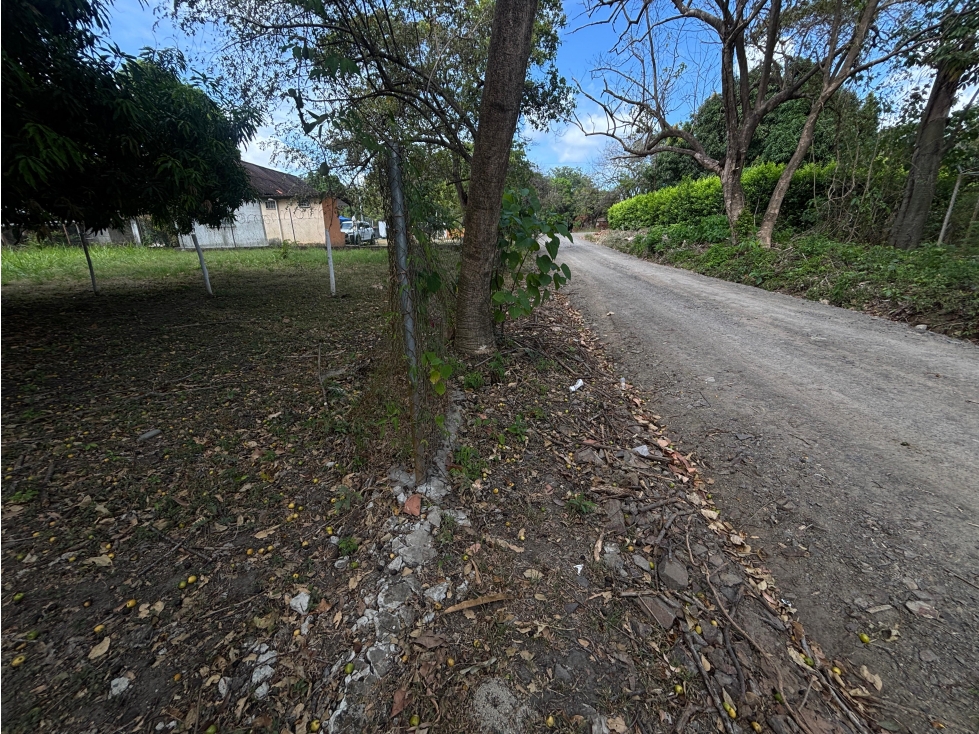 VENTA DE TERRENO EN GORGONA CHAME PLANO DE 337M CERCA DE PLAYA — foto 4