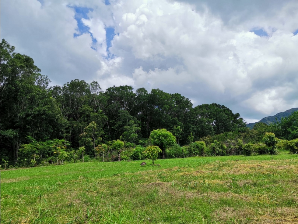 CHAME / FINCA EN BEJUCO / 10 HECTAREAS / CERCA DE LA INTERAMERICANA — foto 4