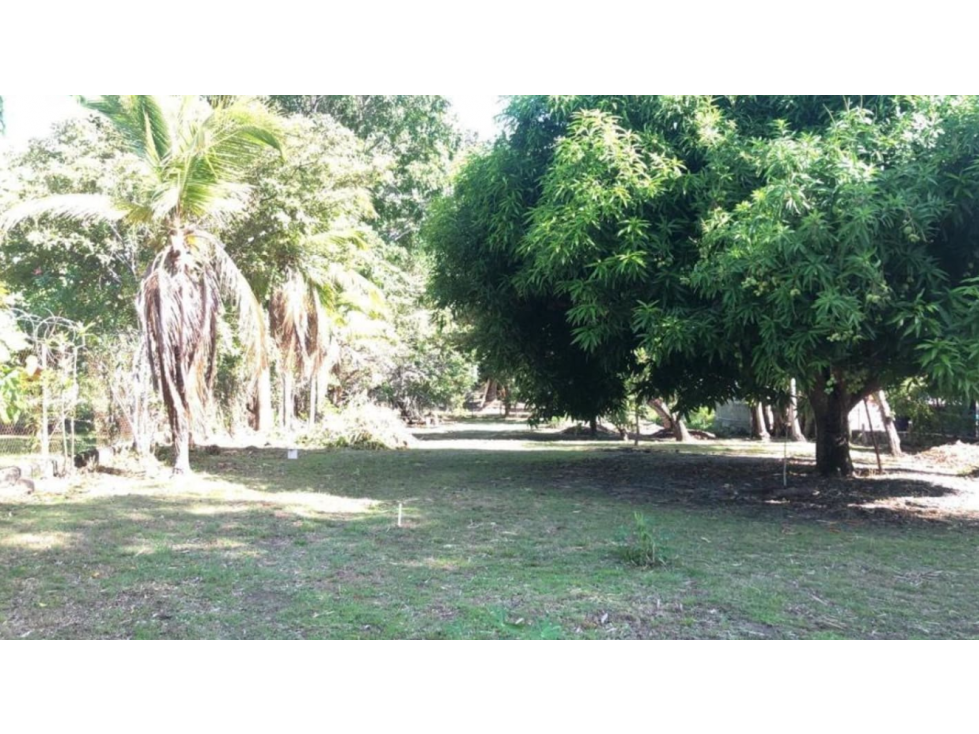 CORONADO / TERRENO A POCOS MINUTOS DE LA PLAYA / 1158M2 / AMPLIO — foto 6