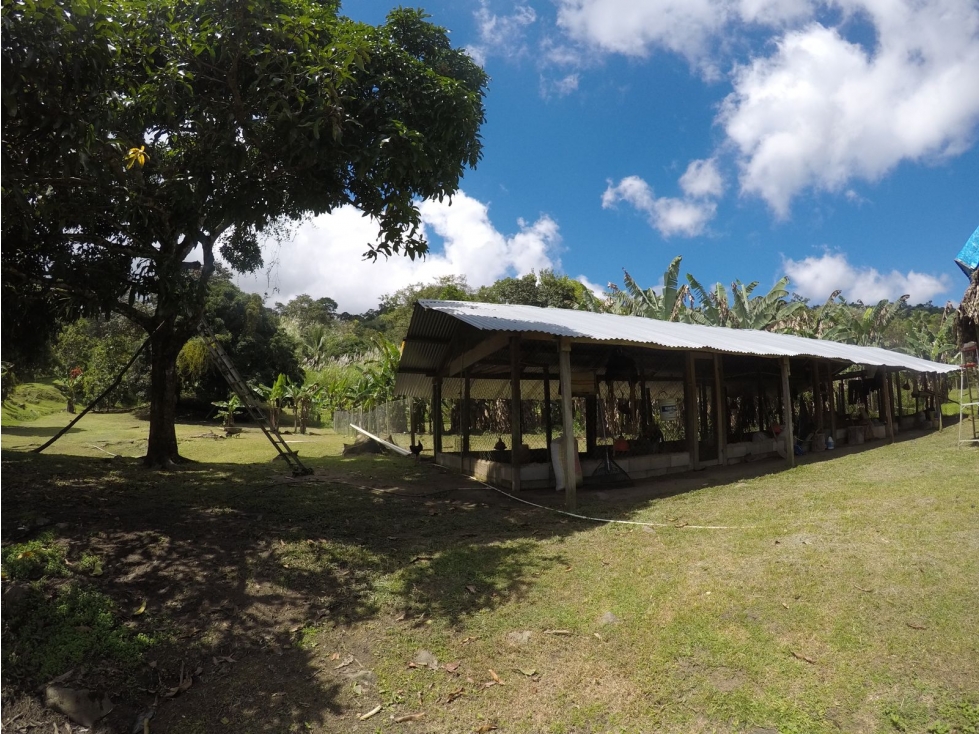 CERRO AZUL / FINCA CON CABAÑA / 52 HECTAREAS / RIO Y CASCADAS - 2