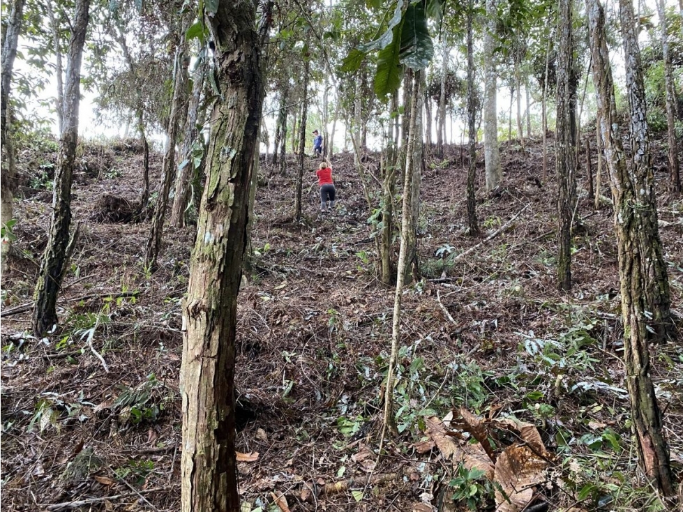 CERRO AZUL / FINCA ALTOS DEL GUARDIAN / 1844 M2 - 6