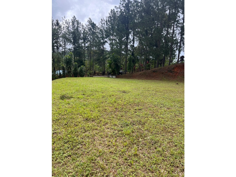TERRENO / CERRO AZUL / 2679 M2 / CLIMA FRIO / ZONAS VERDES - 6