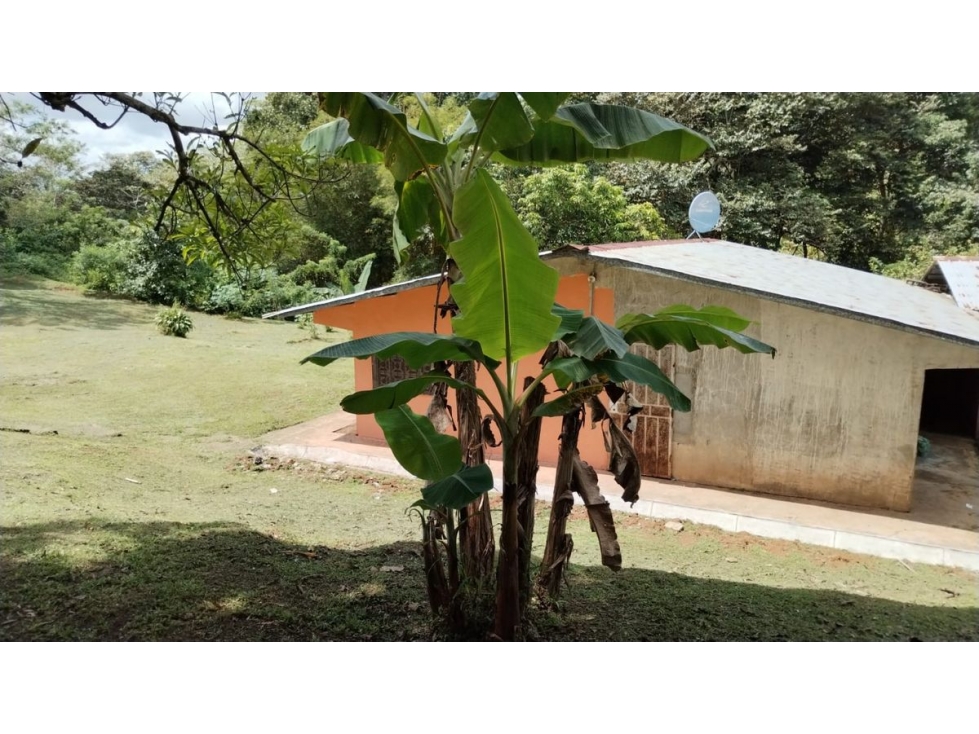 TERRENO / COLON / BUENA VISTA / 16570M / CON 2 CASAS / SOBRE VIA - 6