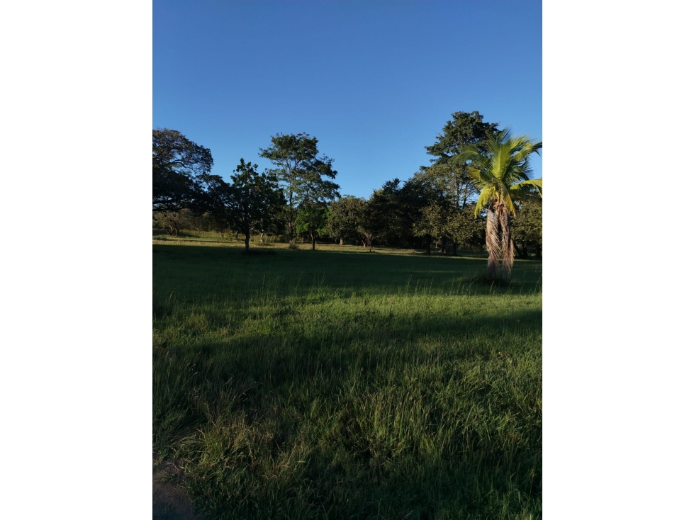 CORONADO / BOULEVARD / FINCA PLANA / 14 HECTÁREAS / 50.00 m2 — foto 6