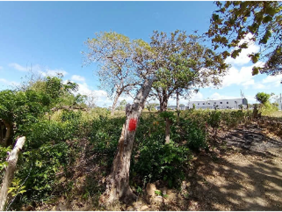 SE VENDE TERRENO COMERCIAL EN PENONOME 13473M SOBRE VIA INTERAMERICANA - 6