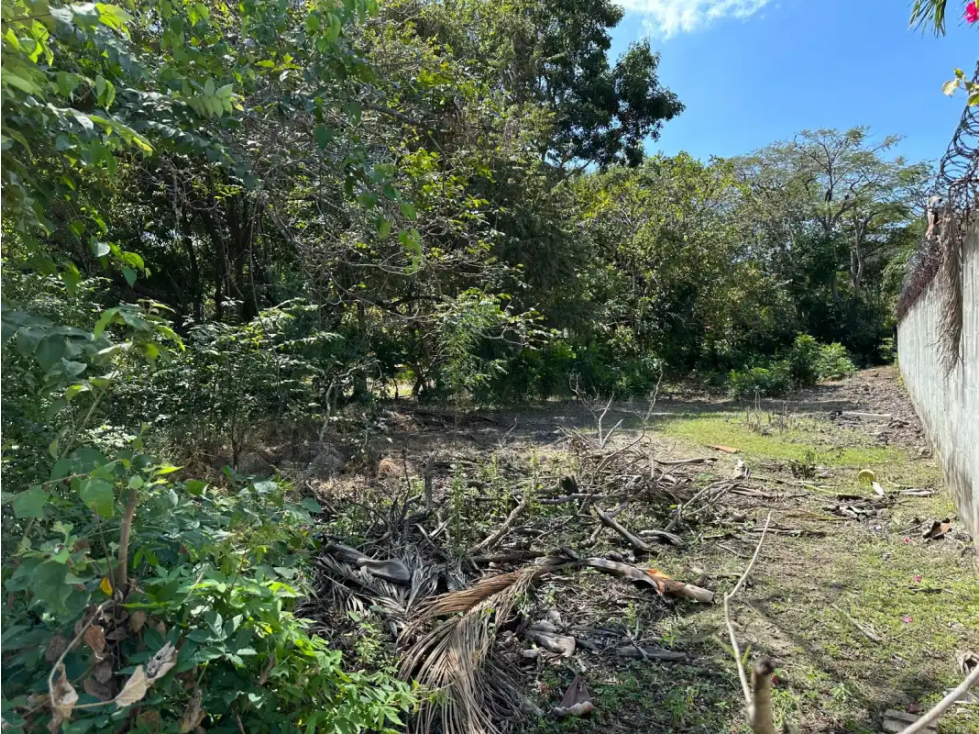CORONADO / TERRENO / 994 M2 / PLANO / PLAYA / ZONAS VERDES - 5