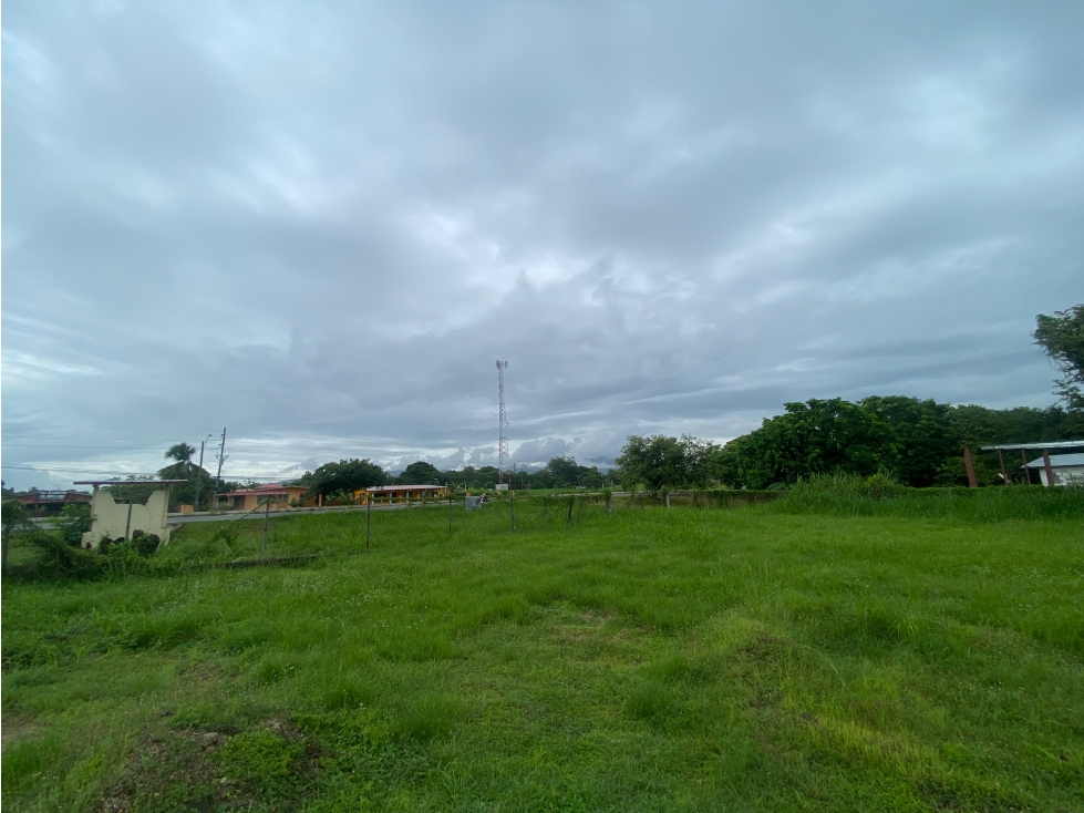 SE VENDE TERRENO PLANO 2146M EN PENONOME FRENTE A VIA INTERAMERICANA - 1