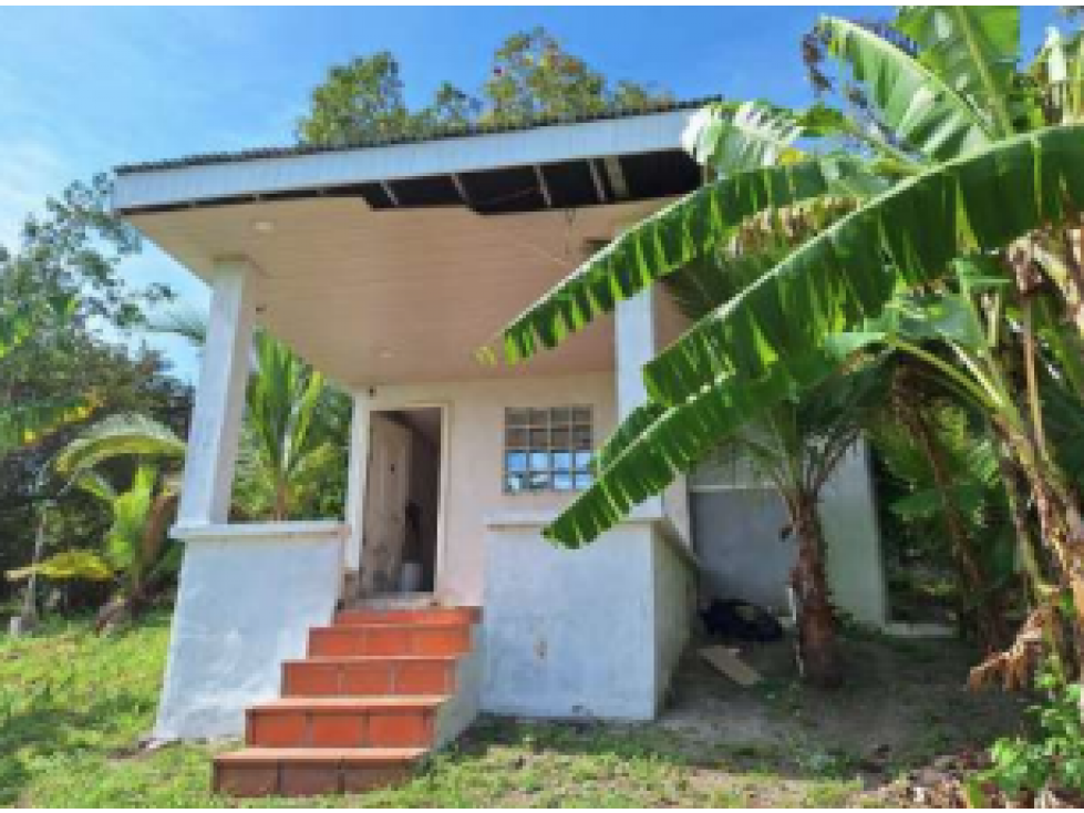 SAN CARLOS / TERRENO / 10433 M2 / CASA OBRA GRIS / CALLE ASFALTADA - 4
