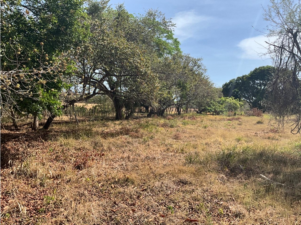 LAS TABLAS / FINCA / 3 HECTAREAS / POZO DE AGUA - 4