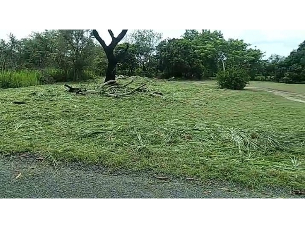 TERRENO / CHAME / GORGONA / 2000M / PLANO /JC — foto 6